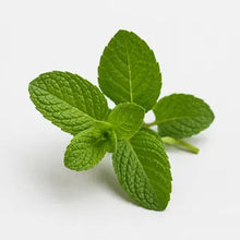 Peppermint